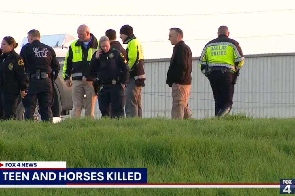 One horse was pronounced dead and one was euthanized by a veterinarian at the crash site, according to police.