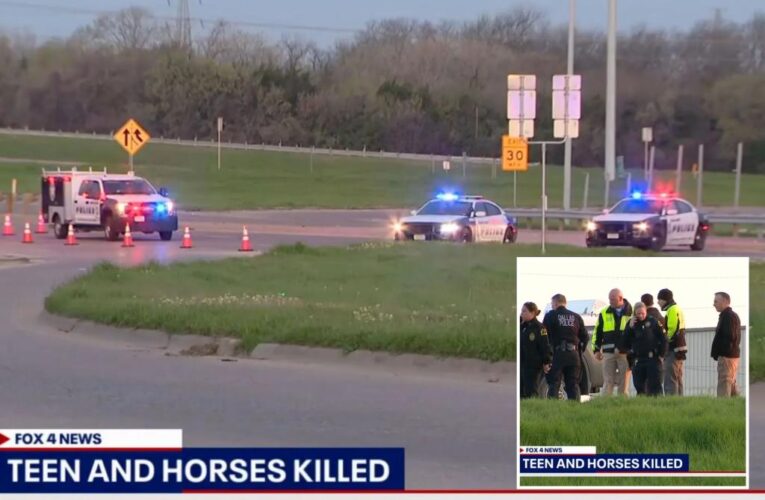 Dallas teen, two stolen horses killed in crash