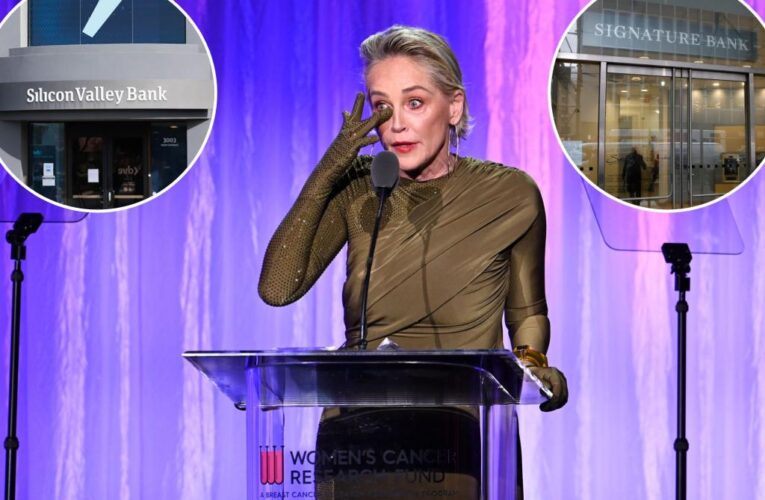Sharon Stone lost ‘half my money to this banking thing’