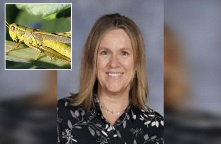 Rancher rips Utah teacher’s climate assignment encouraging kids to eat bugs over beef: ‘Junk science’