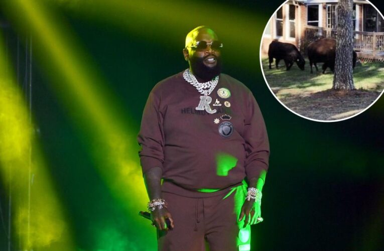 Rapper Rick Ross applauds community effort for safe return of escaped ‘bulls, cows, a couple of buffalos’