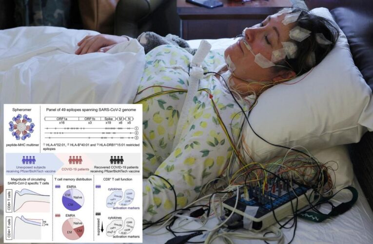 COVID-19 damages immune response for some: ‘A big deal’