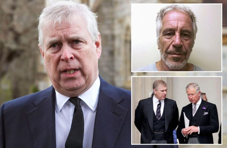 Prince Andrew’s rumored autobiography a last resort to fix reputation: report