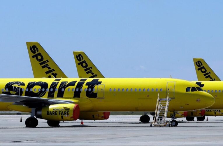 Spirit flight diverted after battery fire in overhead bin