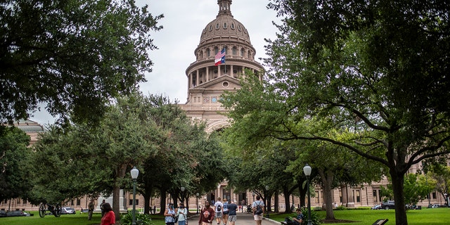 Banning "gender modification of children" is one of the eight priorities of Texas Republicans in the current legislative session.