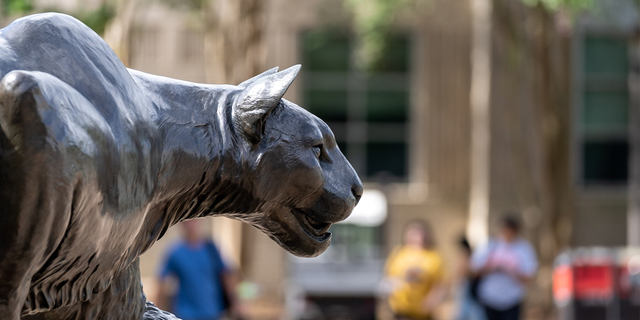 Univeristy of Houston mascot, a cougar.