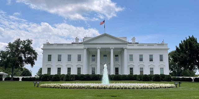 The White House 