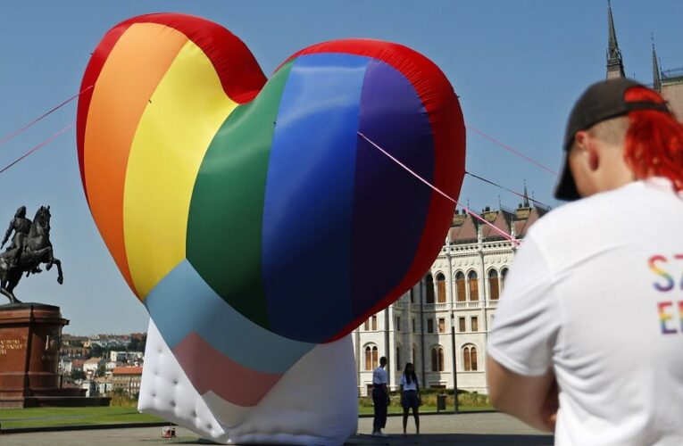 15 EU countries, including Germany and France, join legal case against Hungary’s anti-LGBT law