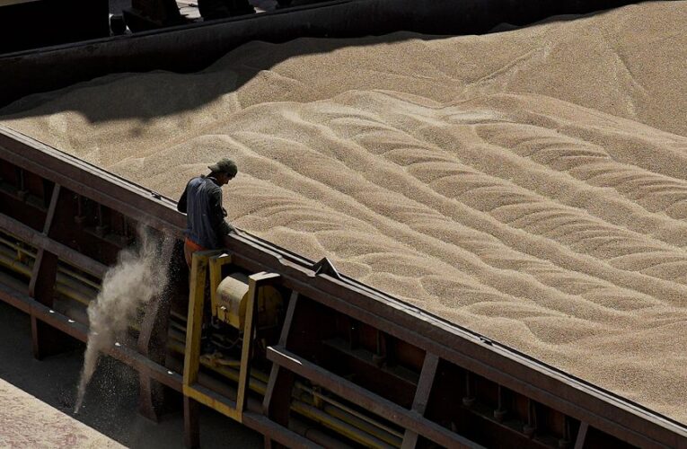 Talks to lift bans on tariff-free Ukrainian grain fail, despite new pitch from Brussels