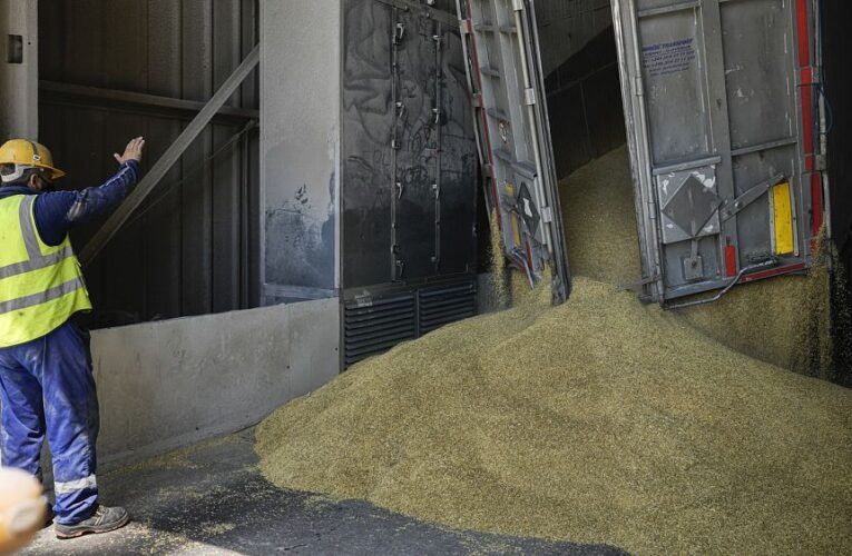 ‘Not acceptable’: EU decries bans on Ukrainian grain imports imposed by Poland and Hungary