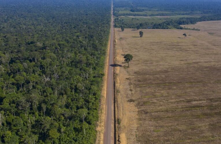 European Parliament approves law ensuring EU products are deforestation-free