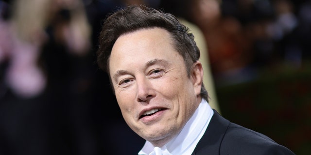 Elon Musk attends the 2022 Met Gala celebrating "In America: An Anthology of Fashion" at The Metropolitan Museum of Art May 2, 2022, in New York City.