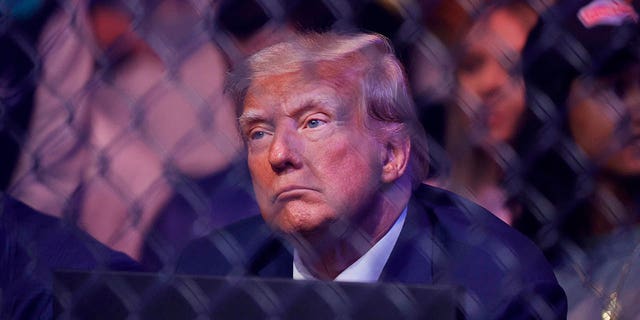 Former President Donald Trump attended UFC 287 on Saturday night and received a shutout from UFC star Jorge Masvidal.