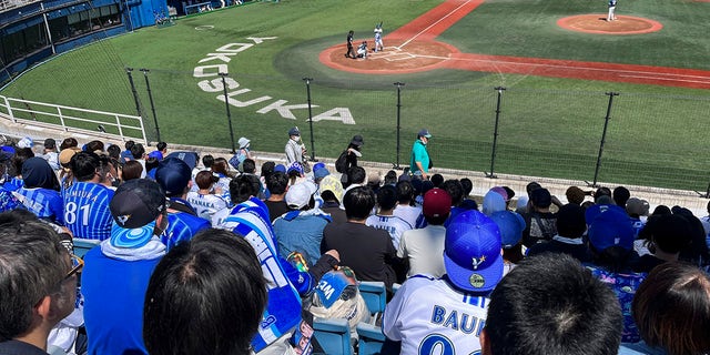 Fans watching Trevor Bauer