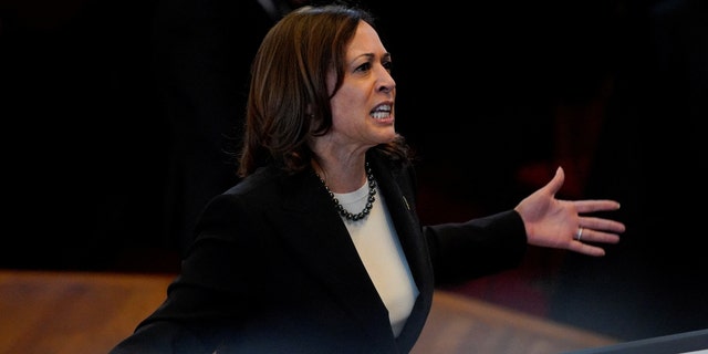 U.S. Vice President Kamala Harris speaks