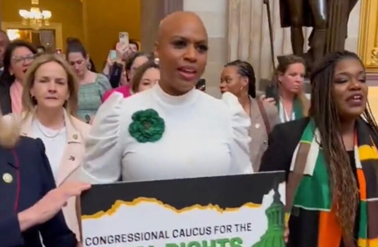 House Democrats kicked out of Senate for protesting opposition to Equal Rights Amendment