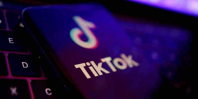 TikTok app logo is seen