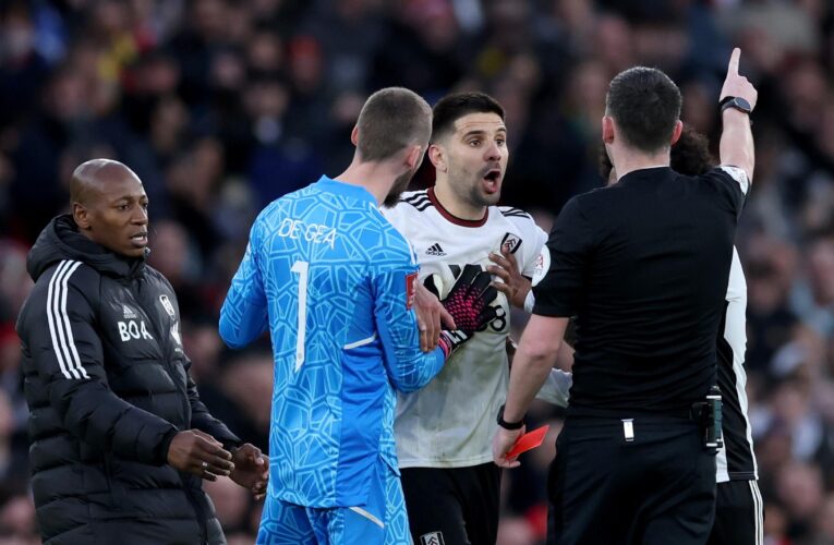Aleksandar Mitrovic: Fulham striker handed eight-match ban for pushing referee Chris Kavanagh against Manchester United