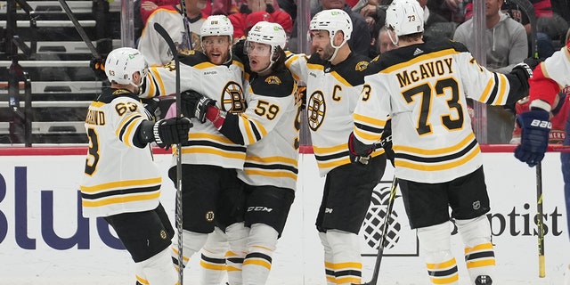 Bruins celebrate goal