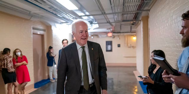 Sen. John Cornyn, R-Texas, already ruled out supporting Schumer's effort