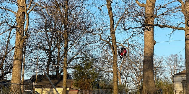 Balloons from a memorial for Tyreece Vachon, 19, who was shot and killed the previous day, are stuck in a tree after a shooting broke out during a memorial at McCormick Park on Wednesday, April 12, 2023, in Fort Wayne.  