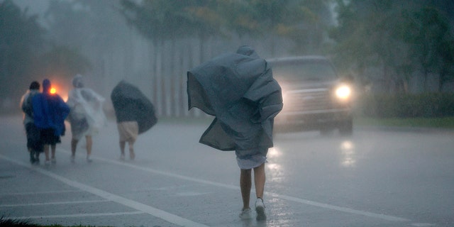 A group of people in raincoats walk east along Hollywood Blvd. in the pouring rain on Wednesday, April 12, 2023, in Hollywood, Fla. 