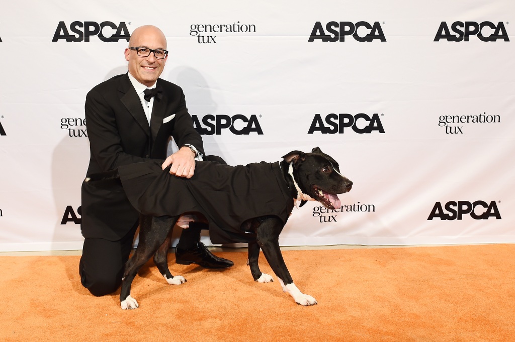The ASPCA, which isn't affiliated with local SCPAs, only runs one adoption center in New York City. 