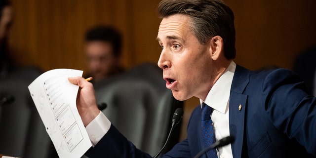 U.S. reliance on Chinese-based drug manufacturing is a national security threat, Sen. Josh Hawley told Fox News. 