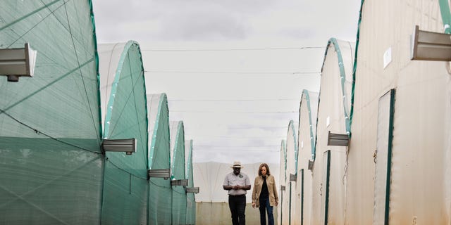 LUSAKA, ZAMBIA - APRIL 01: Panuka Enterprise Limited Managing Director and Founder Bruno Mweemba gives Vice President Kamala Harris a tour of Panuka Farm on Saturday, April 1, 2023, in Lusaka, Zambia. 