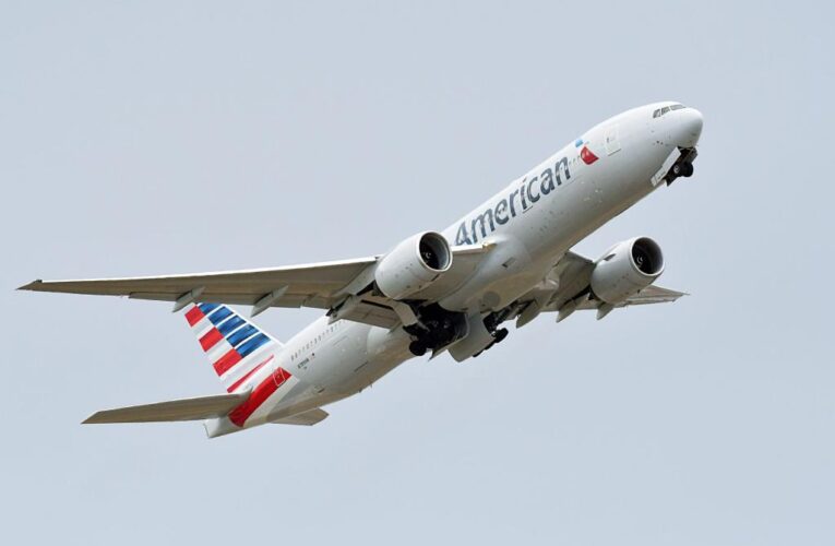 American Airlines passenger urinates on another traveler during flight from JFK: reports