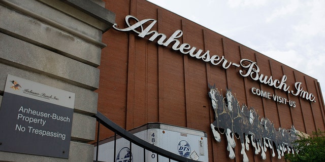 Anheuser-Busch has lost $5 billion in value since announcing a partnership with transgender personality Dylan Mulvaney.