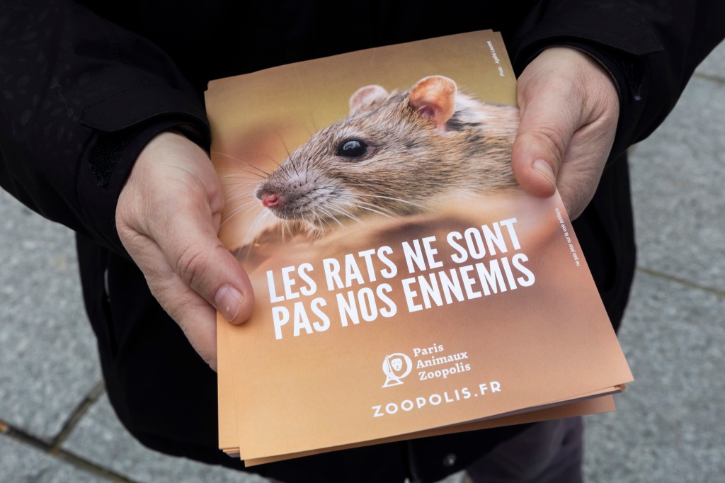 Fliers saying "Rats are saying not our enemies." 