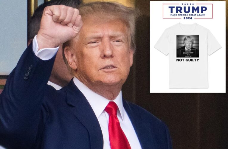 Trump camp peddles ‘not guilty’ t-shirts with ‘mugshot’