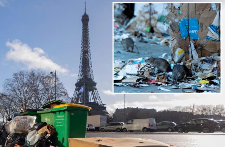 Rat-loving Parisians claim vermin are good for city
