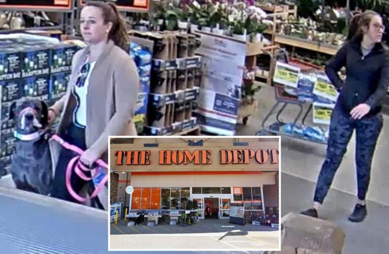 Colorado Home Depot customer gets attacked by dog, owner flees store