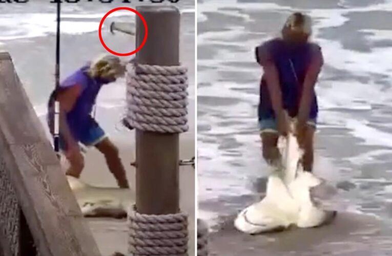 Florida man accused of beating shark with hammer arrested
