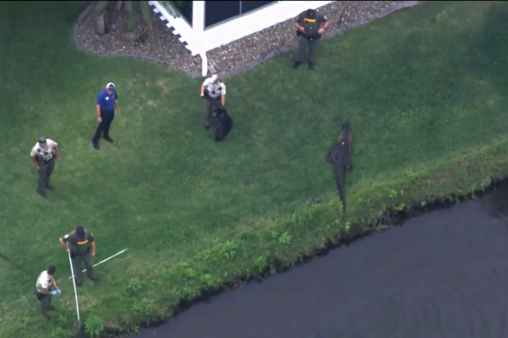 Florida Fish and Wildlife officials and Brevard County sheriff’s deputies at the scene of the attack