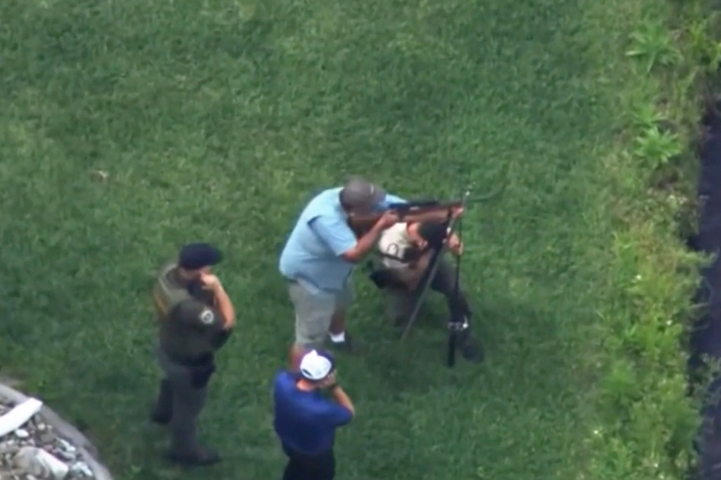 
Florida Fish and Wildlife officials shooting gators
