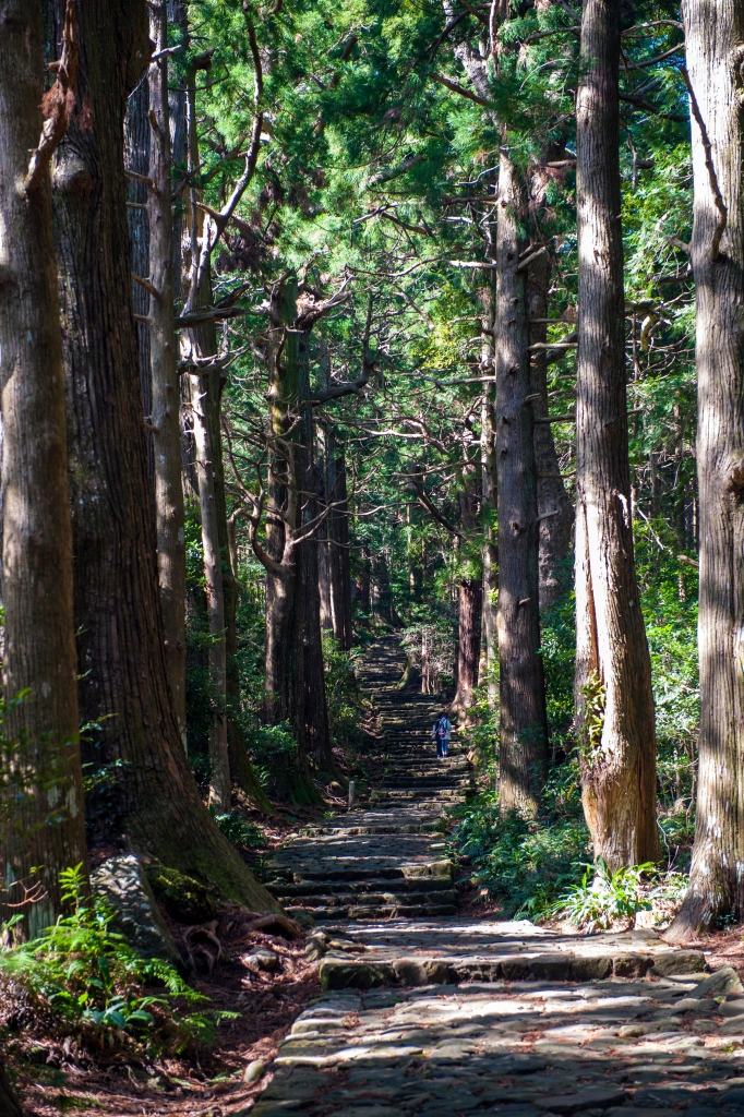 Trail path in Japan