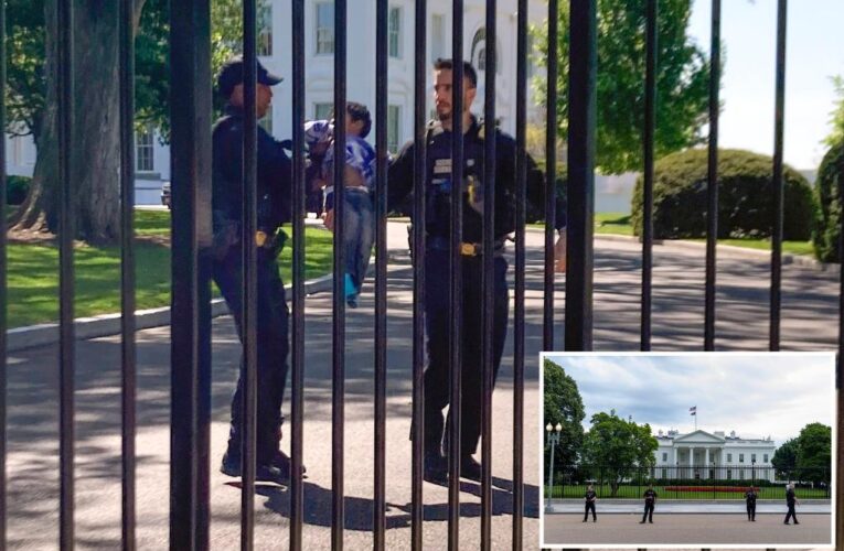 Toddler picked up by Secret Service after squeezing through White House fence