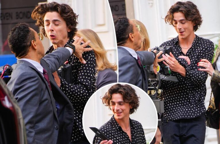 Timothée Chalamet slams into, breaks camera on streets of NYC