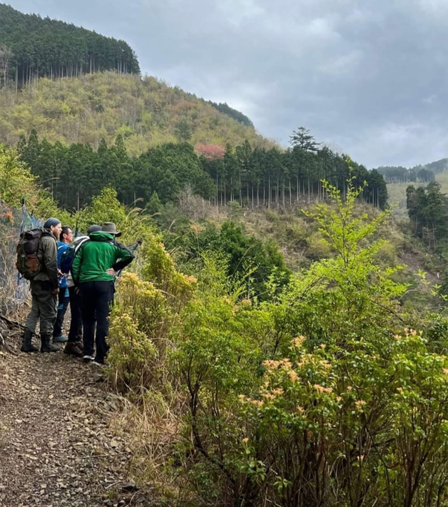 Pictured are search volunteers looking for Wu-Murad in Japan.