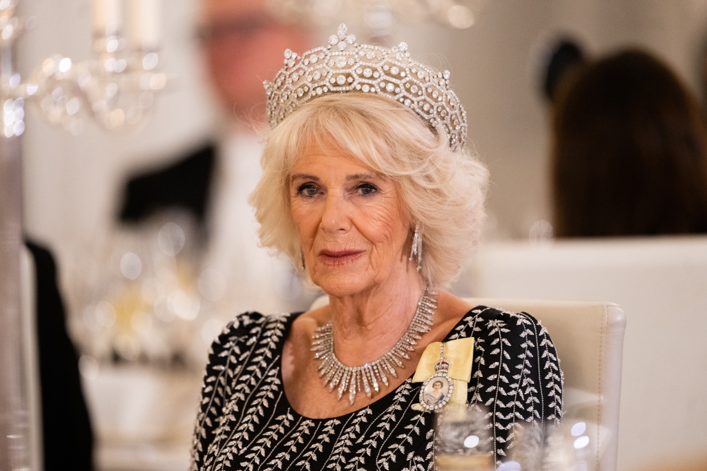 Camilla, Queen Consort attends a State Banquet at Schloss Bellevue, hosted by the President Frank-Walter Steinmeier and his wife Elke Büdenbender on March 29, 2023 in Berlin, Germany.