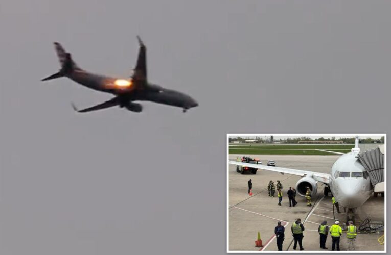 American Airlines flight forced to return to Ohio airport after bird strike