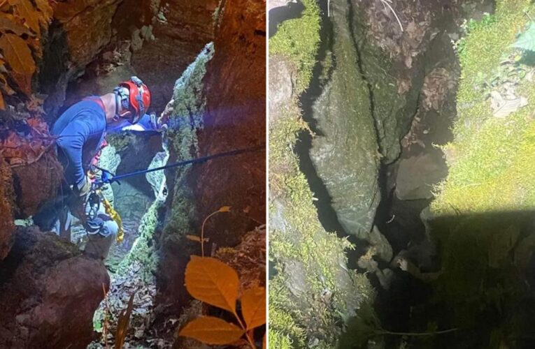 Tennessee dog rescued from cave after falling over 50 feet