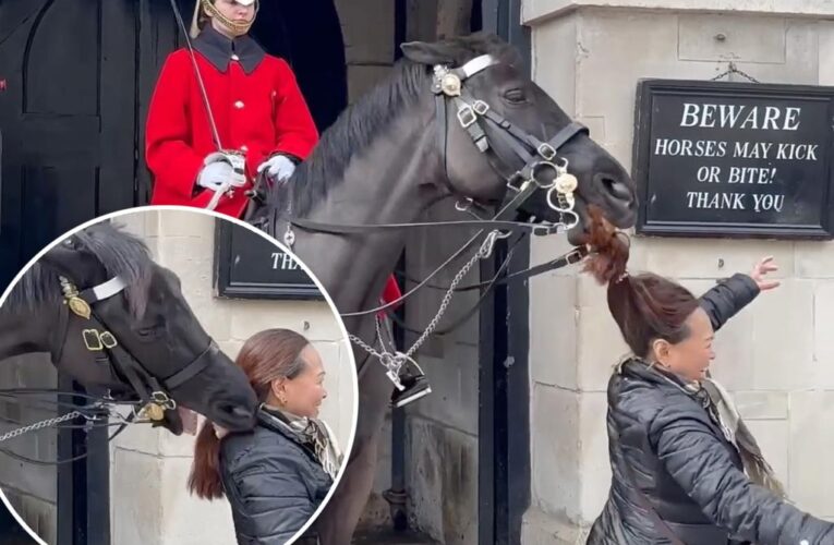 King’s Guard horse headbutts woman , bites another’s ponytail