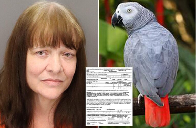 Florida woman Suzanne Mulalley gunned down parrot during drunken fight: cops