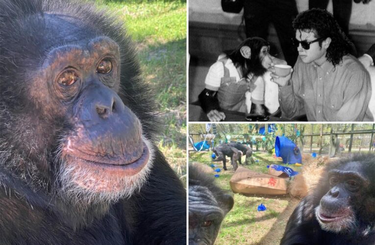 Michael Jackson’s pet chimp Bubbles turned 40