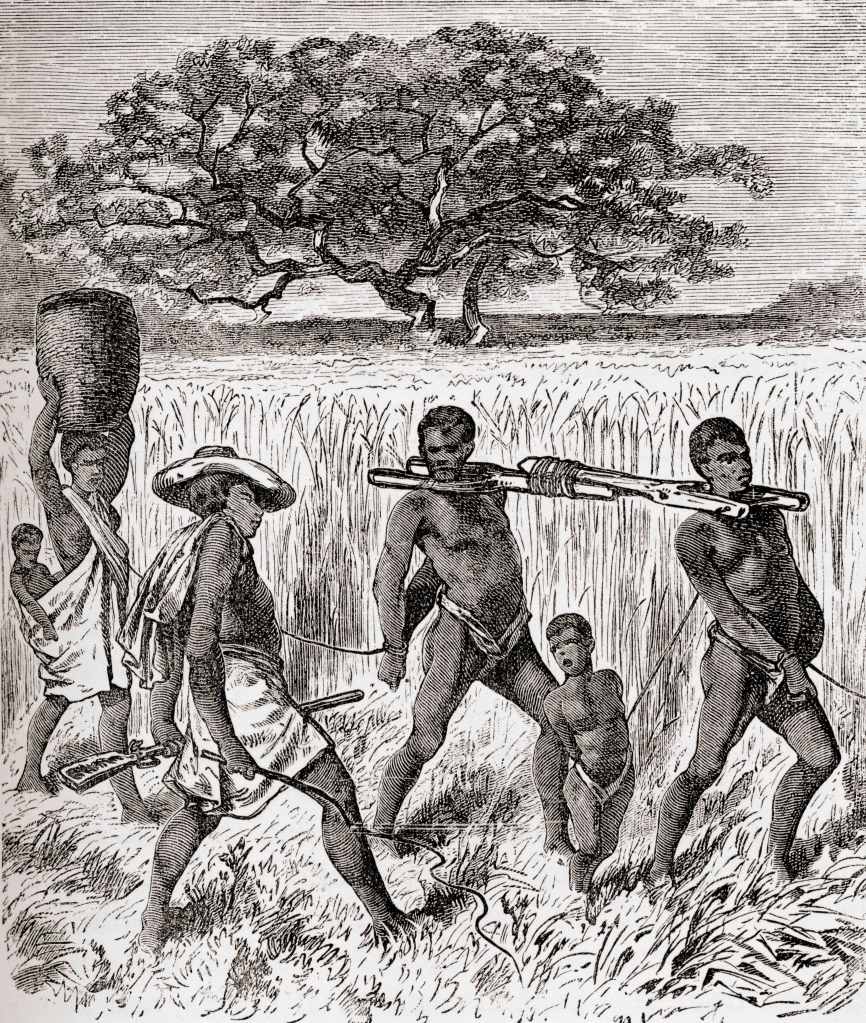 A woddcut of the slave trade