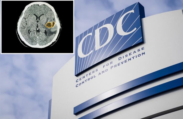 Doctors concerned over spiking brain infections in kids